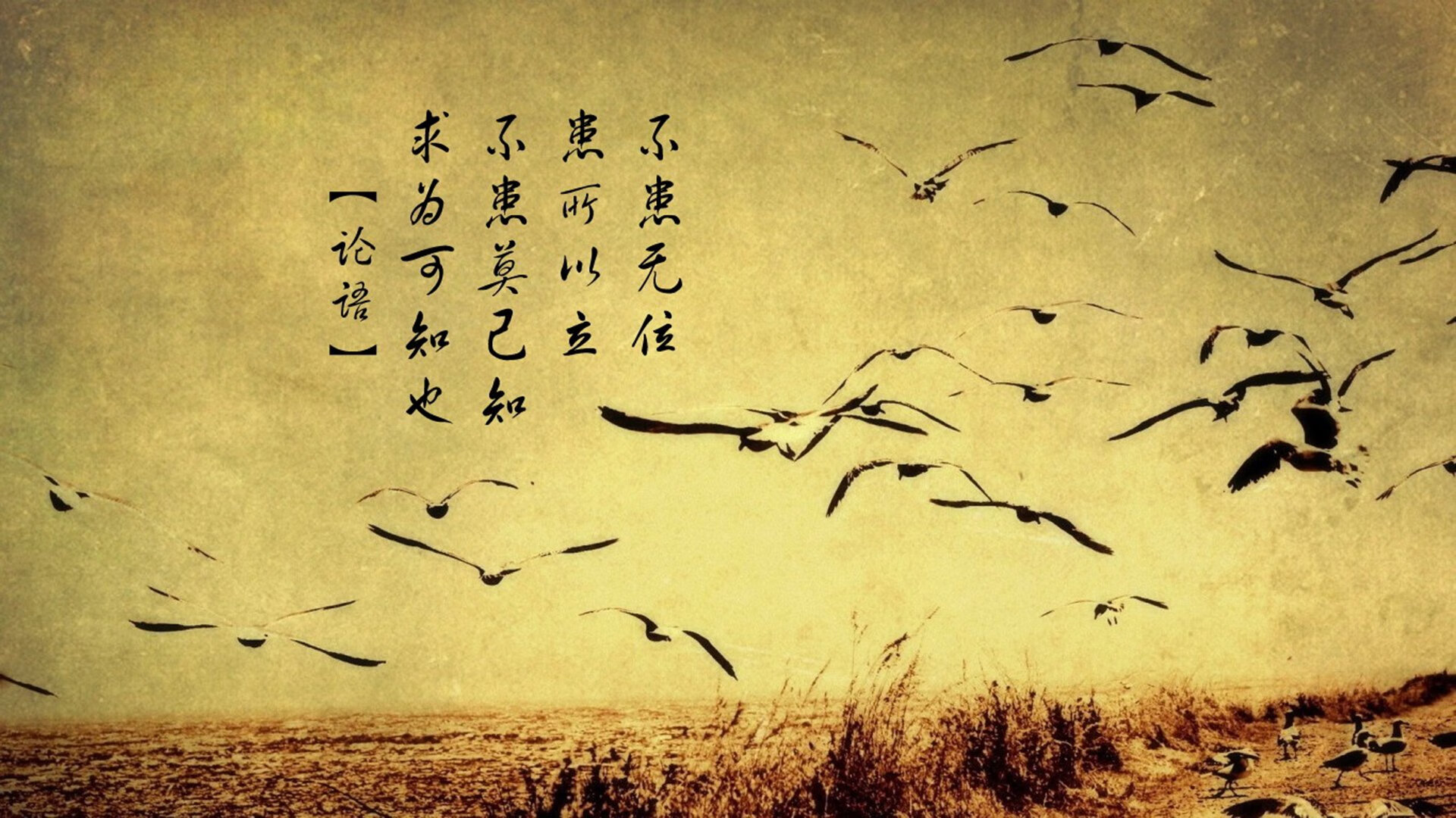 【限时投球带来的策略调整】投手与击球手如何应对时间压力？，投球后击掌算犯规么