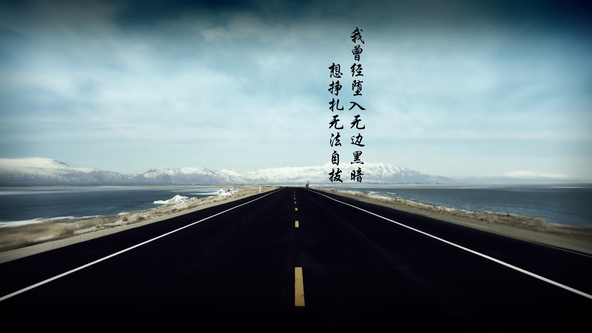 美国马术协会引入智能马鞍系统，实现实时数据监测与分析，提升骑乘体验。