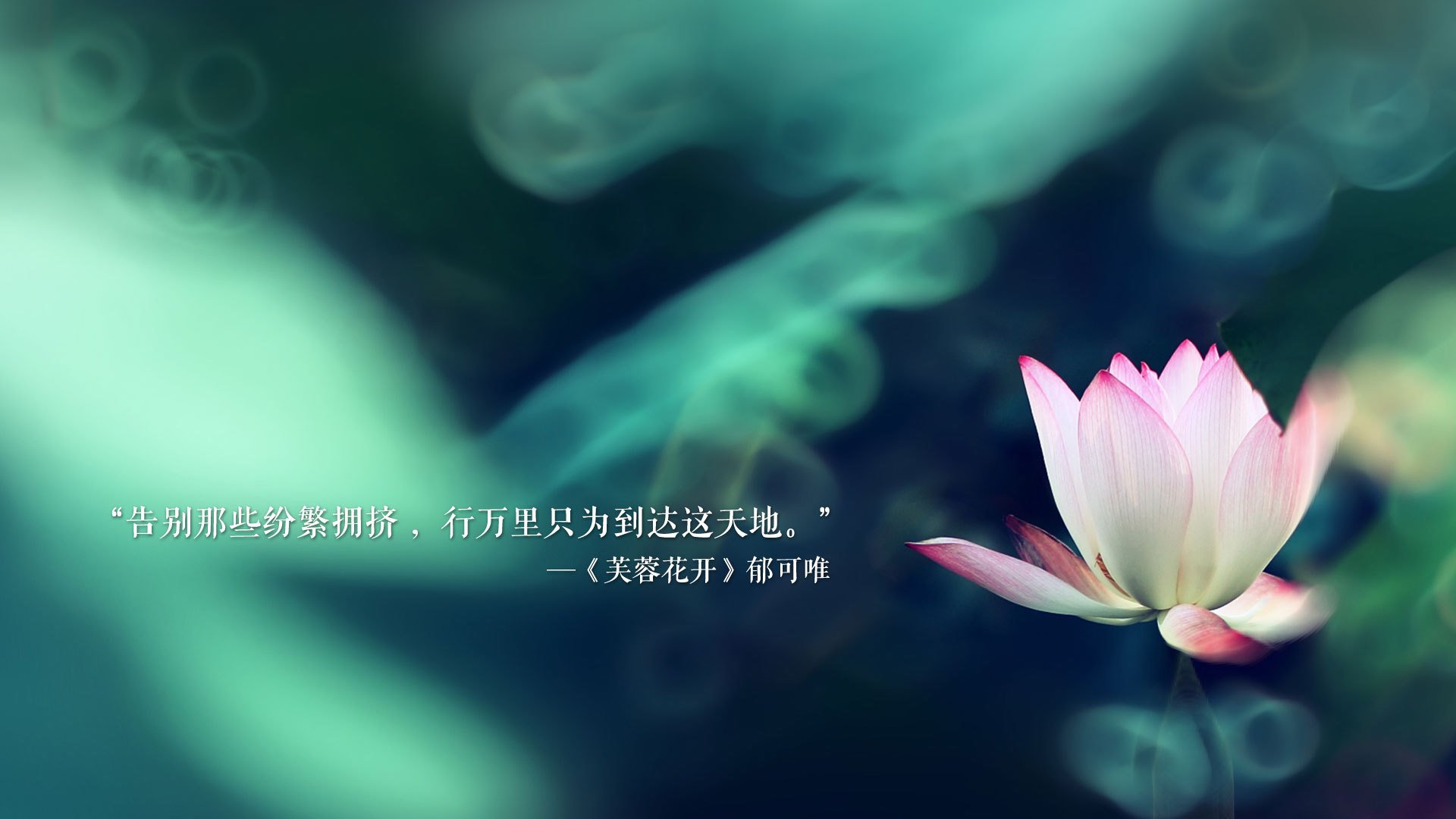 跑酷世锦赛中国选手登顶，展现极限运动魅力，世界级跑酷大赛视频