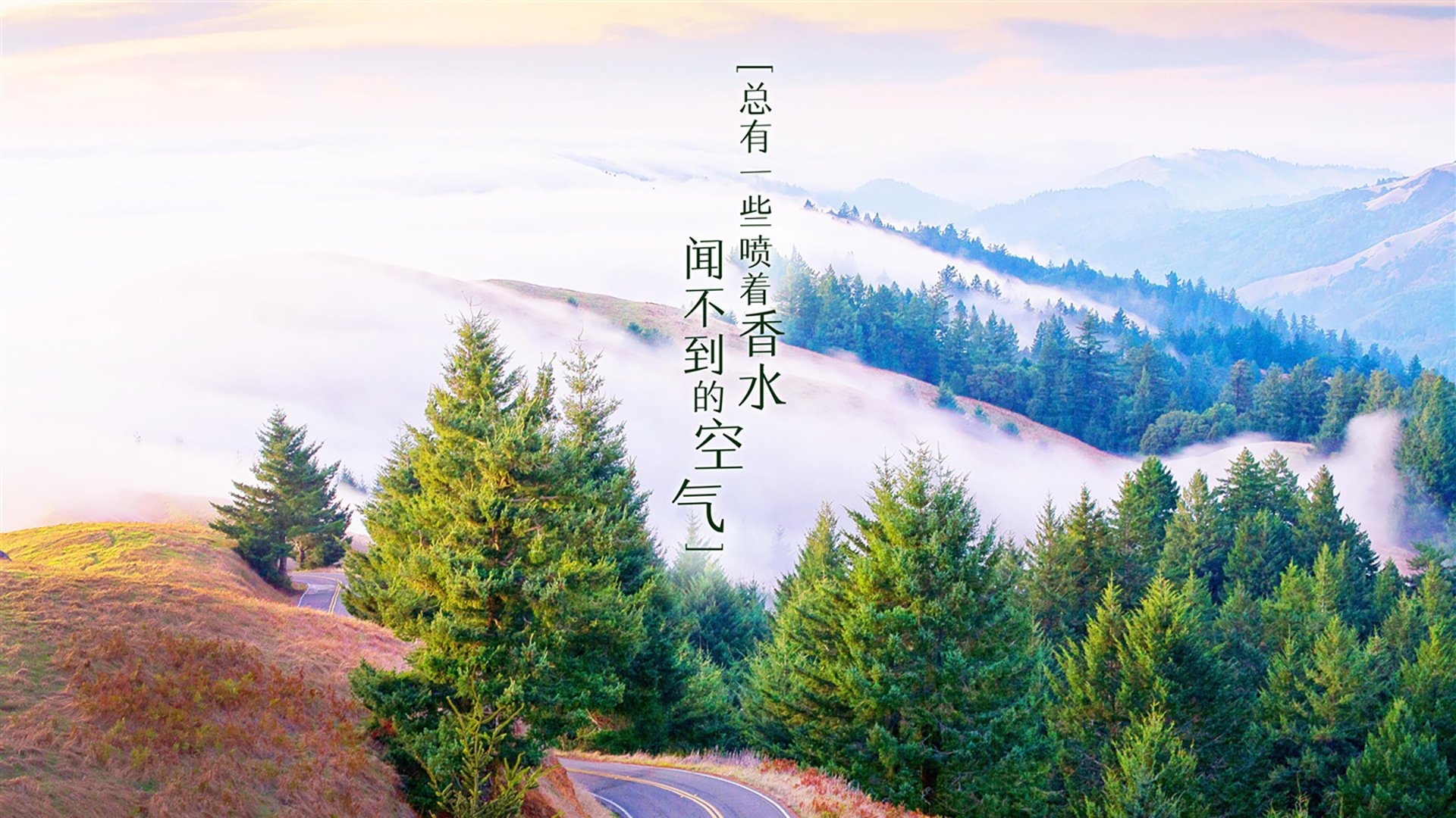 体育课程资源数字化平台建设与应用，体育课堂信息化
