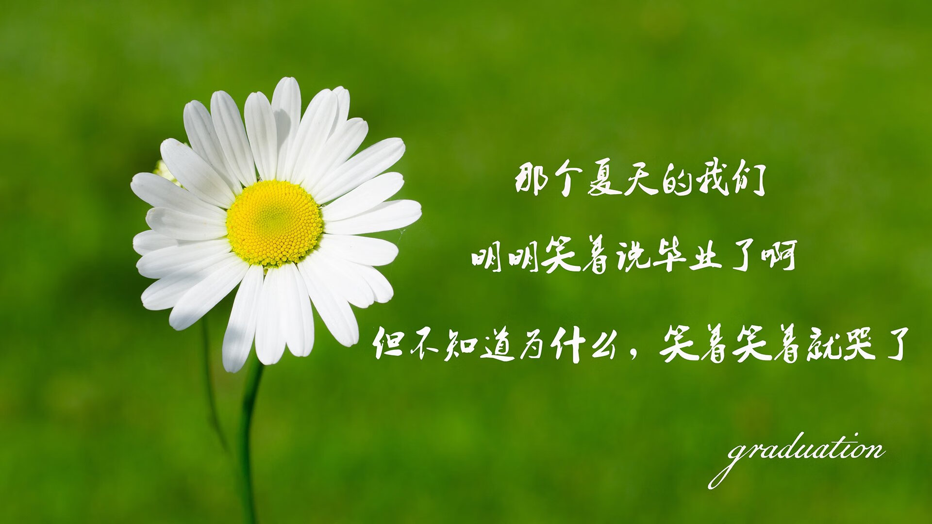 校园体育场馆智能管理系统应用研究，体育场馆建筑智能化系统技术规程