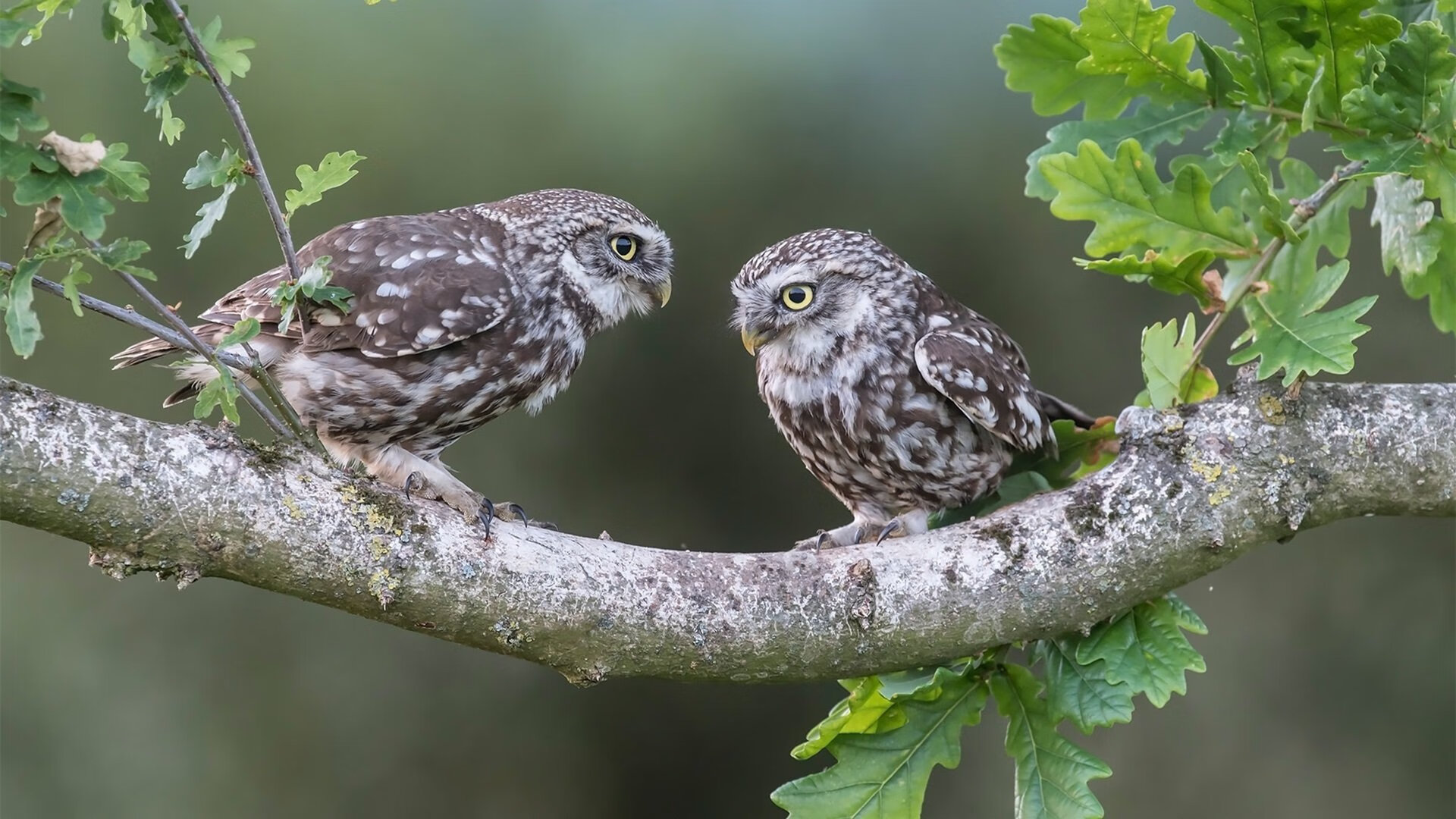 AYX体育官网-体育科学实验室支持高水平运动队数据分析，高水平运动队体育专项测试