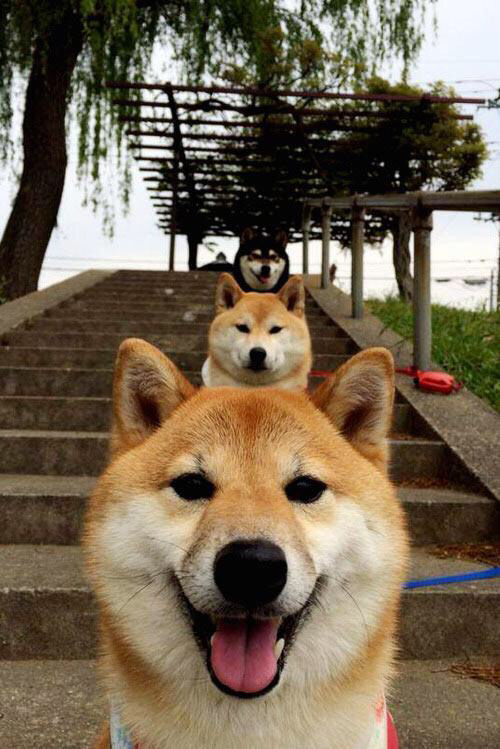 AYX官网-奥运举重模拟赛展现新周期备战成果，奥运举重现场