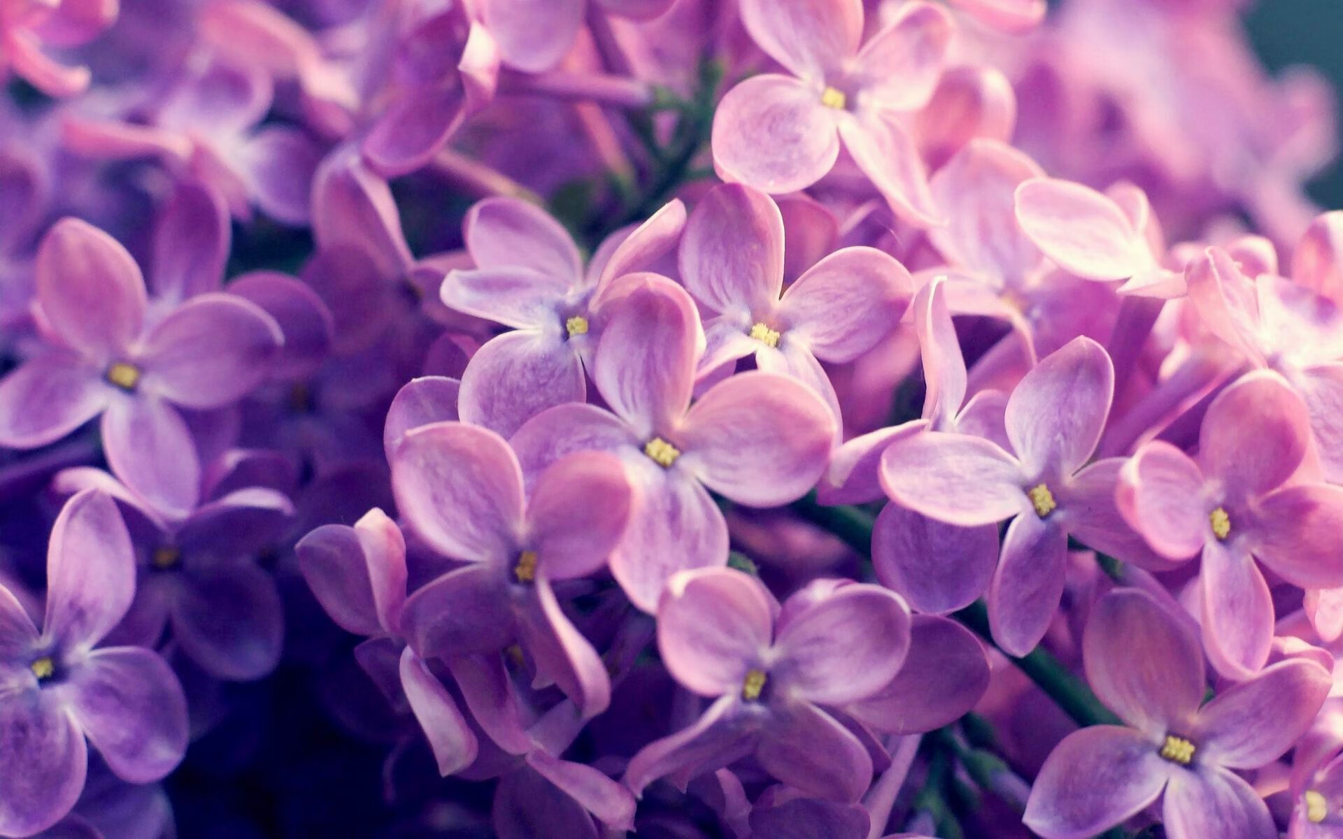 爱游戏下载-“尼古拉斯·桑特基的传球艺术，帮助阿根廷美洲狮队打破进攻瓶颈”