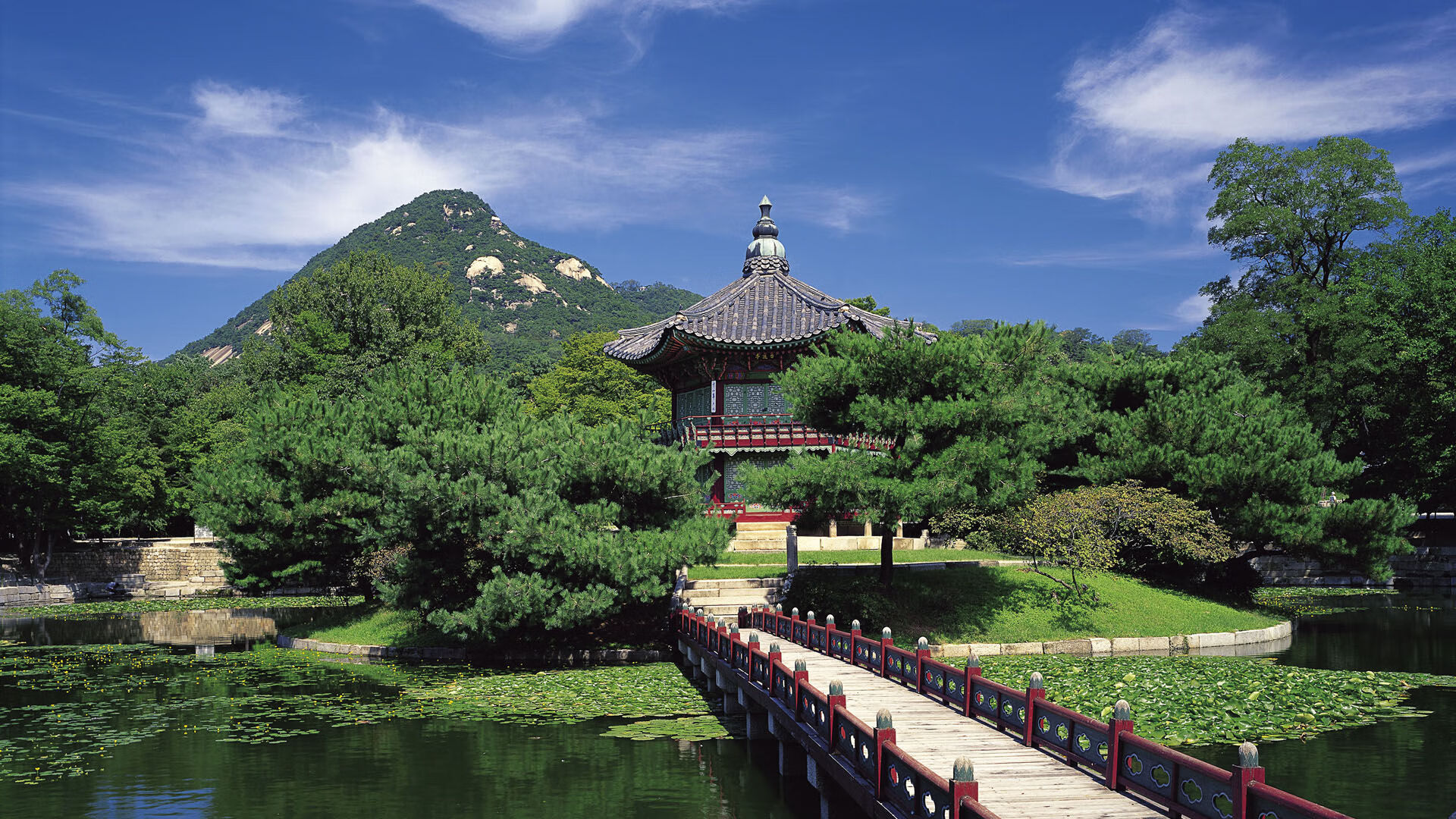 爱游戏电竞官网-陈艺文冲击个人第五枚金牌，陈艺文夺冠