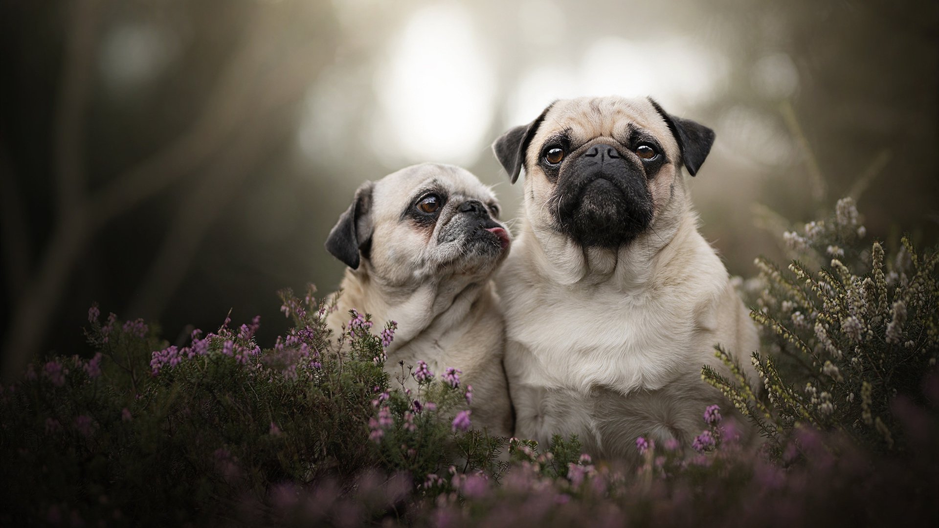 爱游戏平台-青训机构打造家校社三位一体培养生态体系，家校社一体化