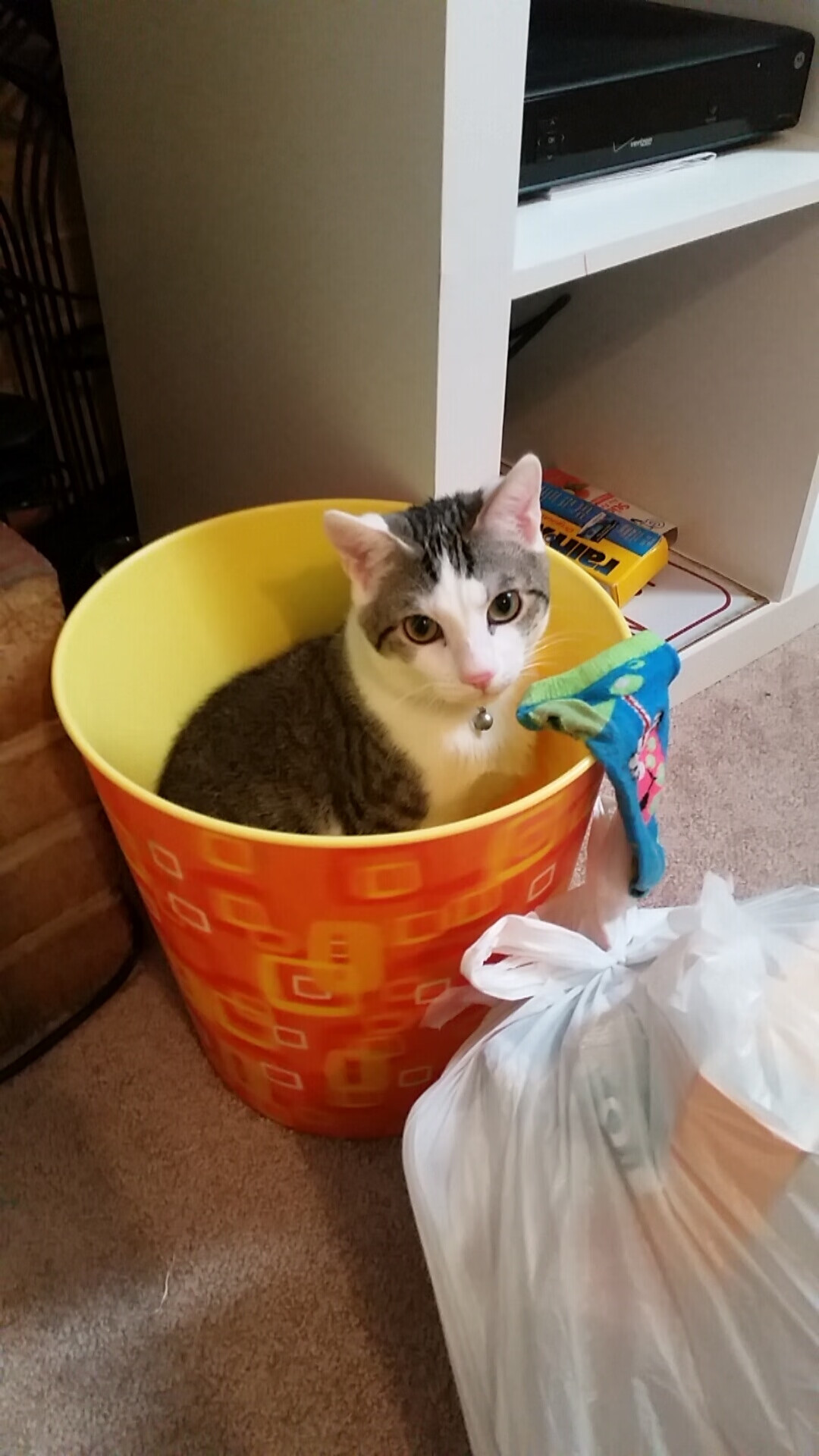 青训选拔更注重球员潜力而非阶段性成绩,青训选拔机制