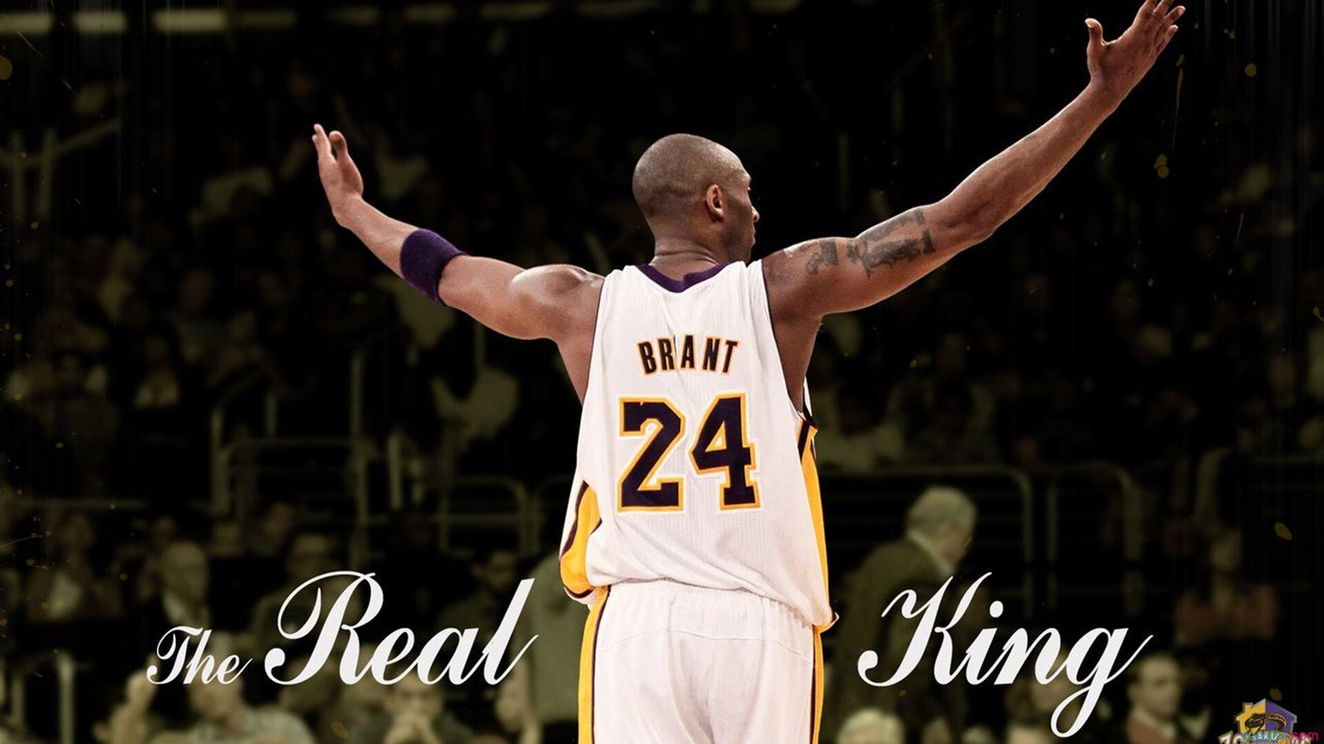 维克托·文班亚马成为NBA全球球迷偶像，文班亚马身高